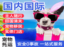 白莲机场托运国际宠物托运 【国